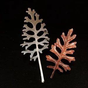 BROCHE JACOBAEA MARITIMA