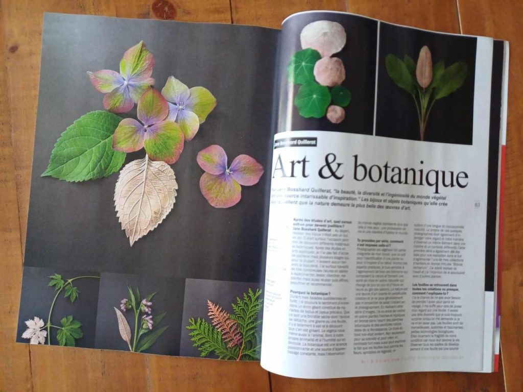 photographie de l'article publié sur les photographies d'herbiers d'art en bronze et naturels de l'artiste Jane Bosshard-Quillerat