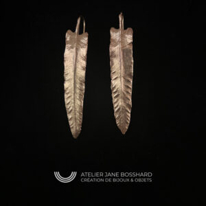 Berceuses Asplenium scolopendrium