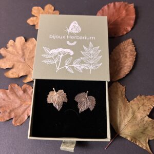 série Feuilles d'automne *Ribes rubrum*