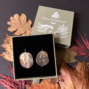 série Feuilles d'automne *monnaie du pape*