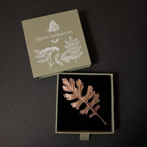 BROCHE JACOBAEA MARITIMA