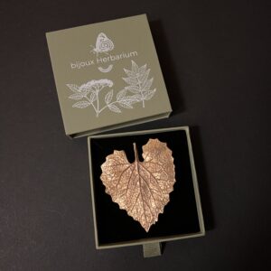 BROCHE ALLIARIA PETIOLATA