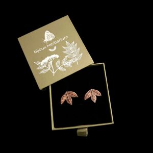 ROSA CANINA - CLOUS D'OREILLES