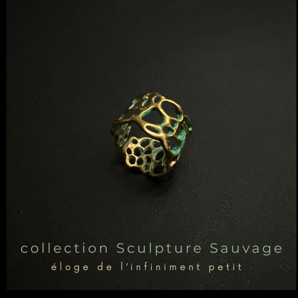 bague en bronze d'art de la collection Sculpture Sauvage de l'atelier Herbarium sur fond noir avec titre de la collection