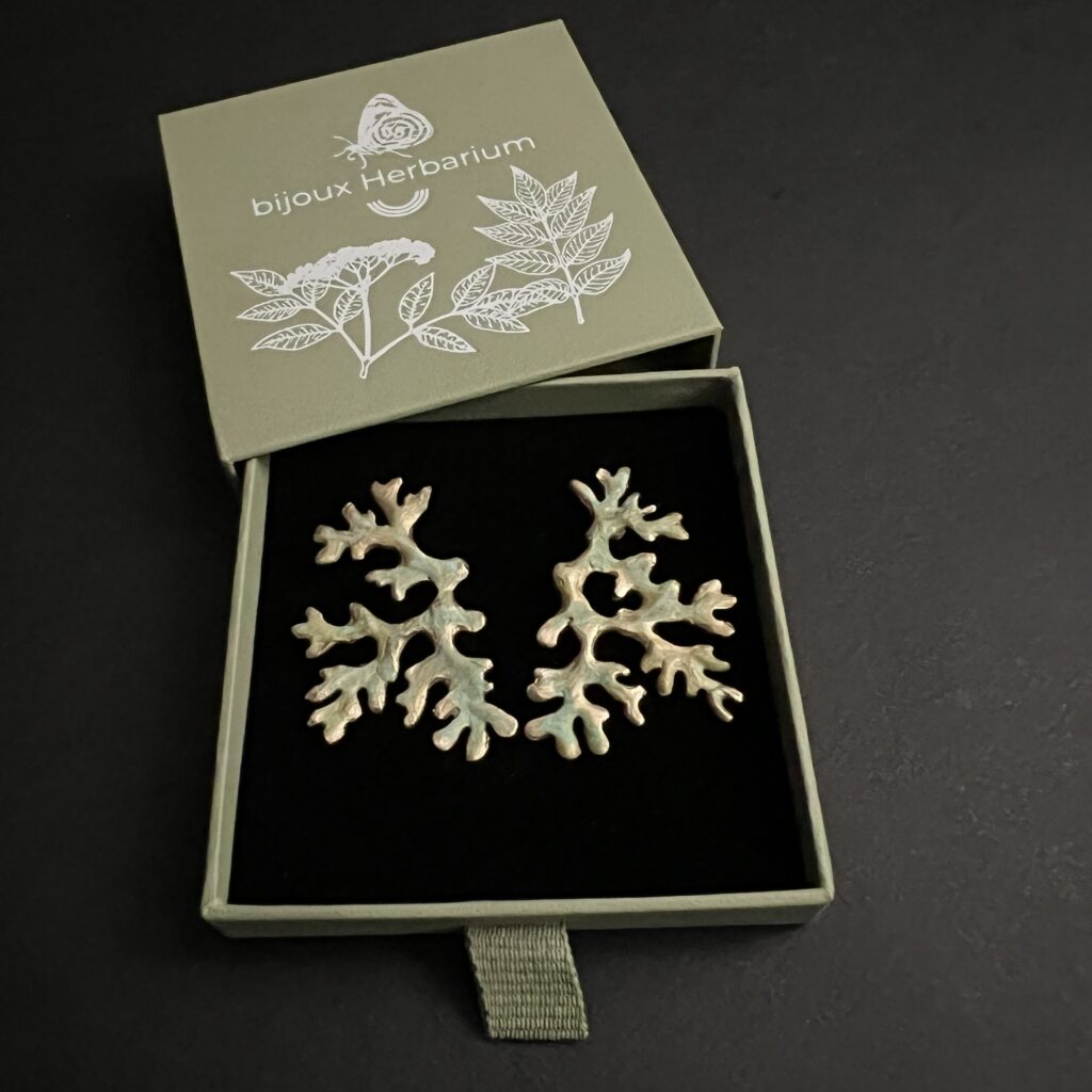 Paire de boucles d'oreilles en bronze d'art patiné inspirée de la forme du lichen Mousse de chêne, rangée dans son écrin posé sur fond noir